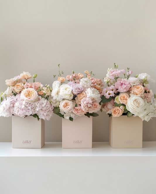 Blush Harmony